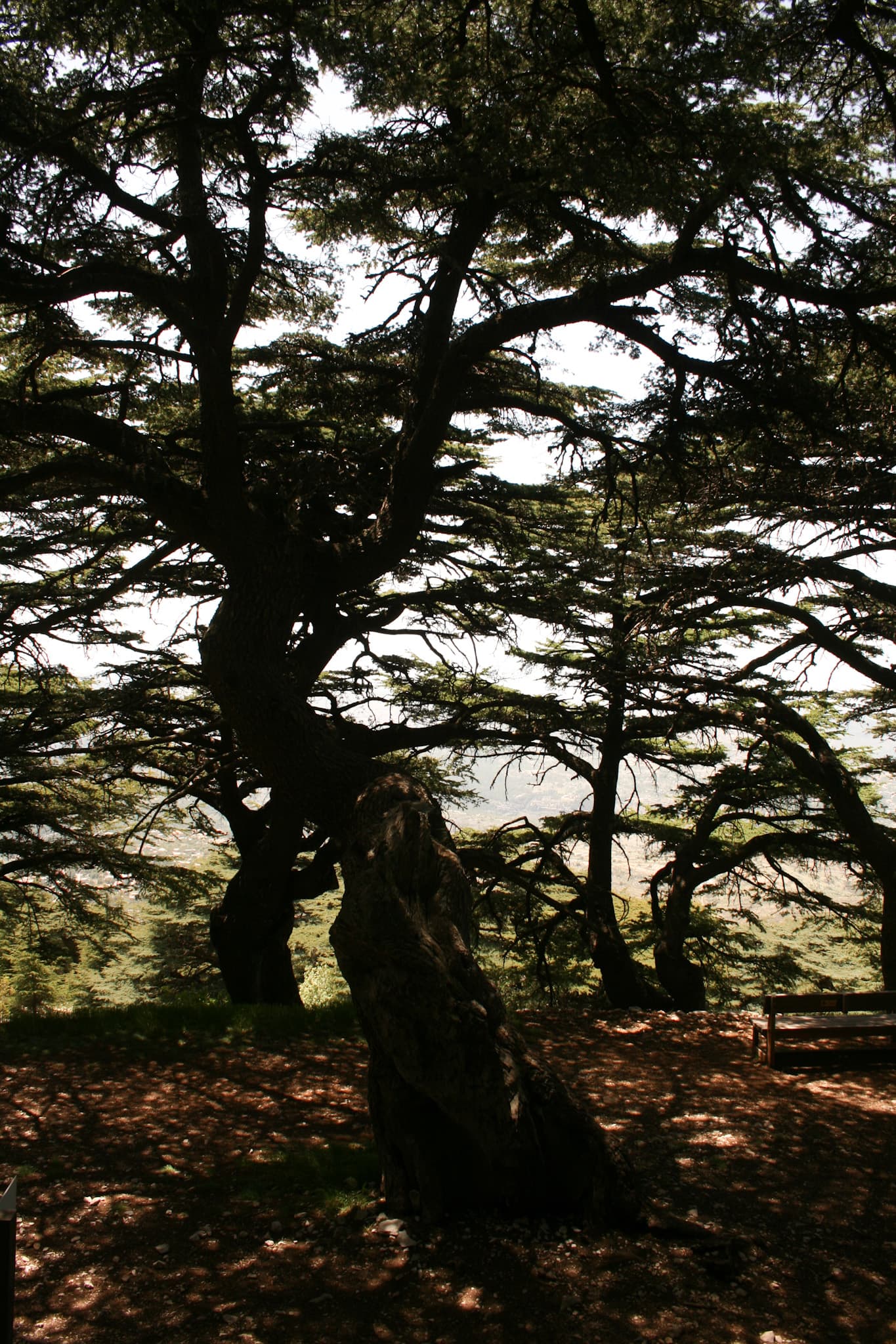 Chouf, Lebanon, 2021